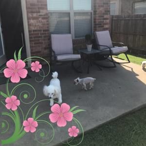 Meet your Posher, Lawanda daniels